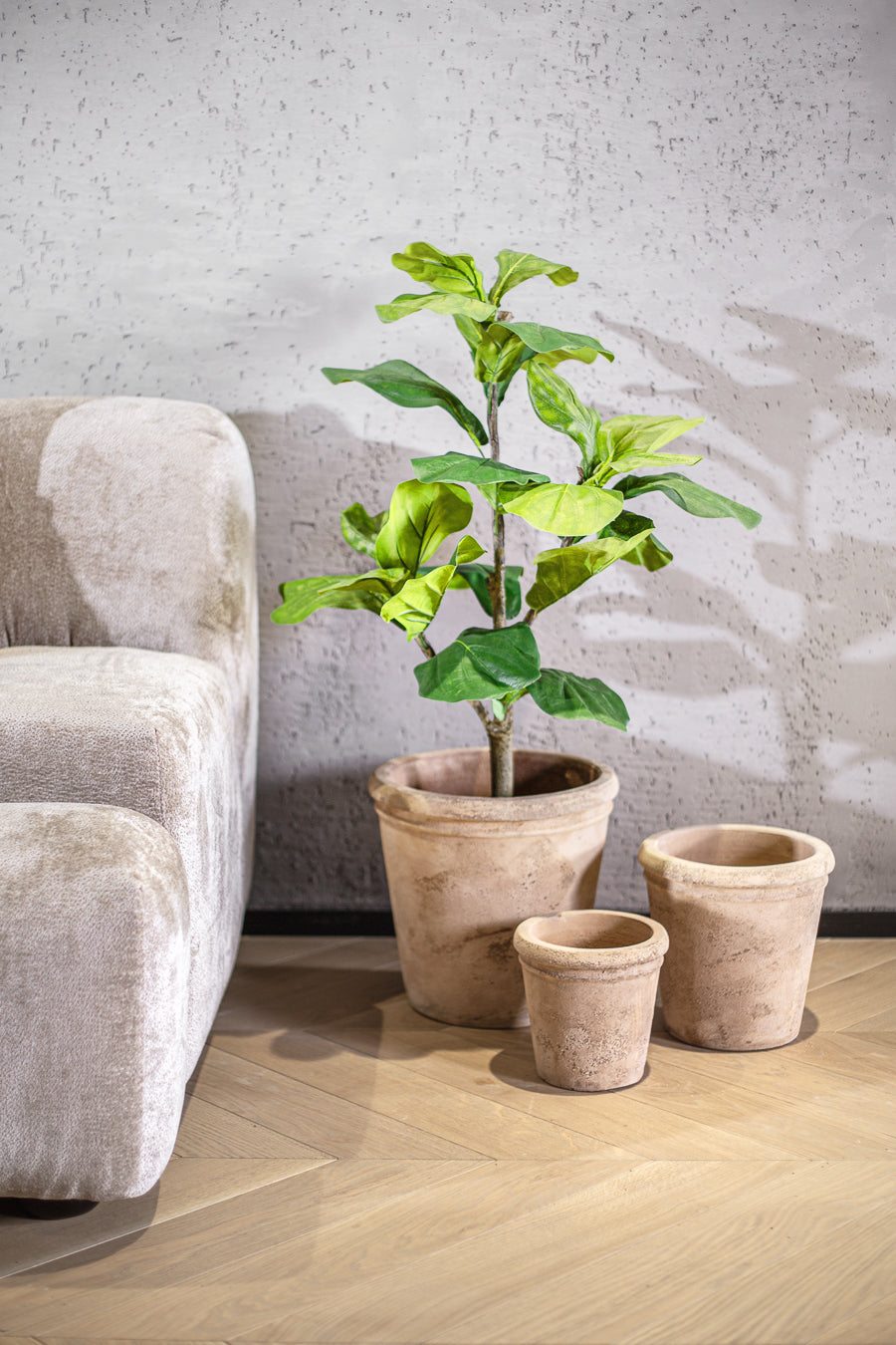 עציץ אואזיס טרקוטה S