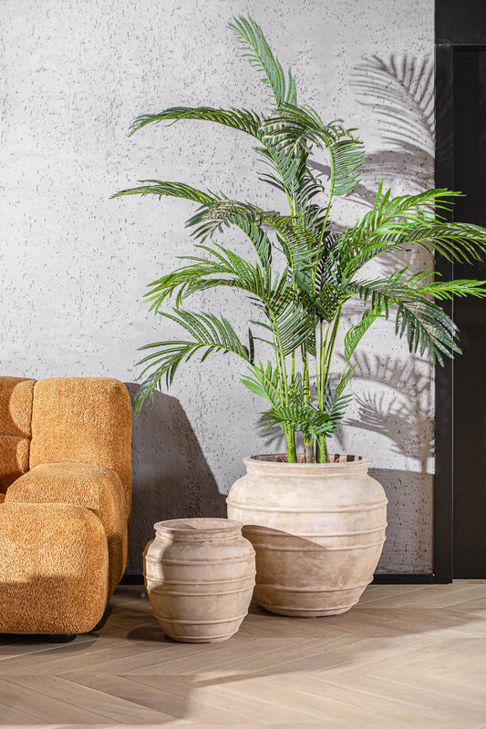 עציץ אואזיס טרקוטה L