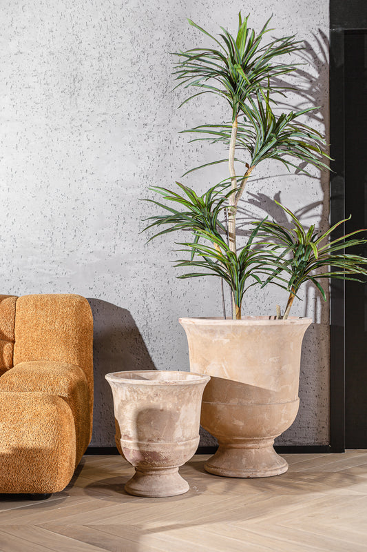 עציץ אואזיס טרקוטה L