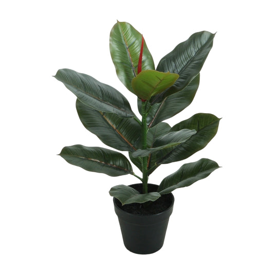 עציץ פיקוס 45 ס"מ