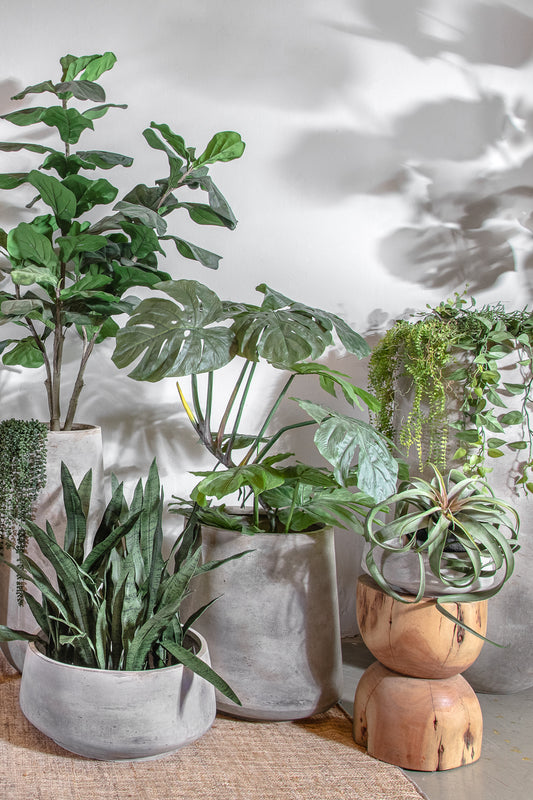 אייר פלנט לייט גרין