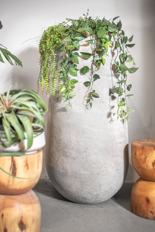 גרין ליבס הנגינג פלנט