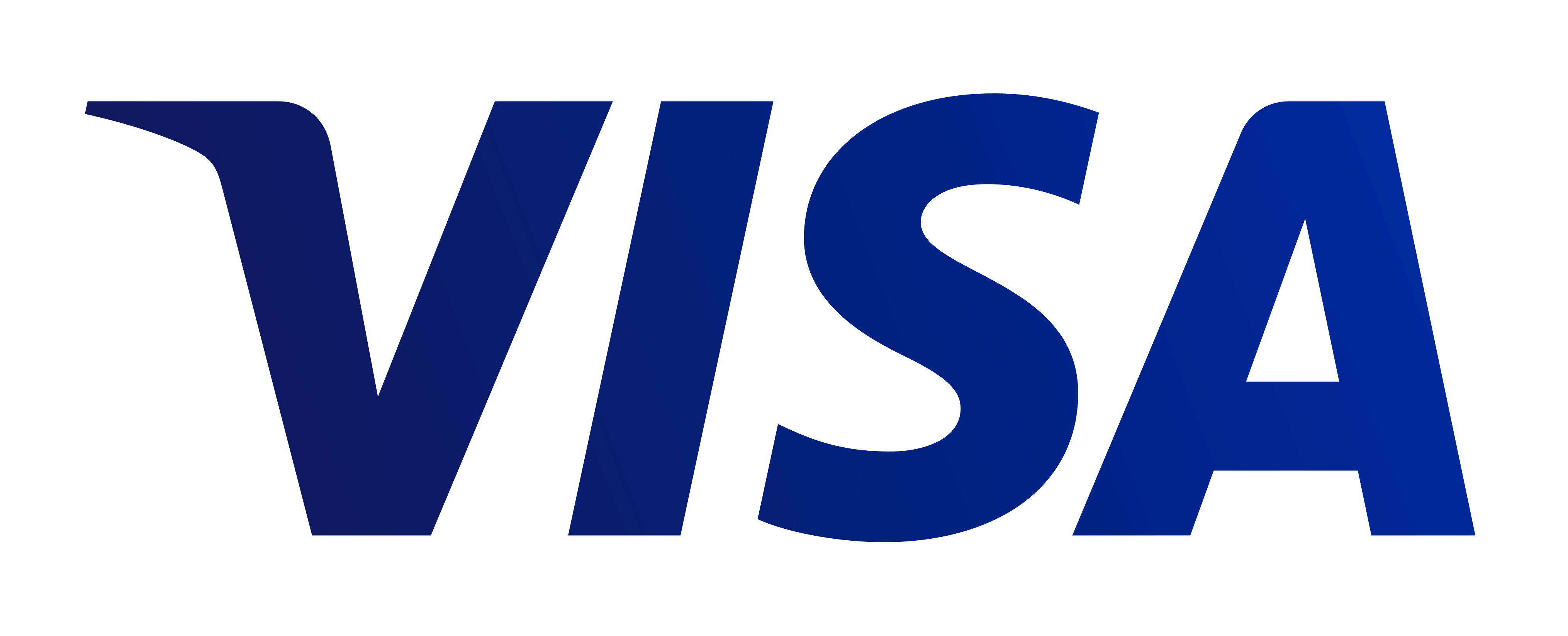 Visa icon